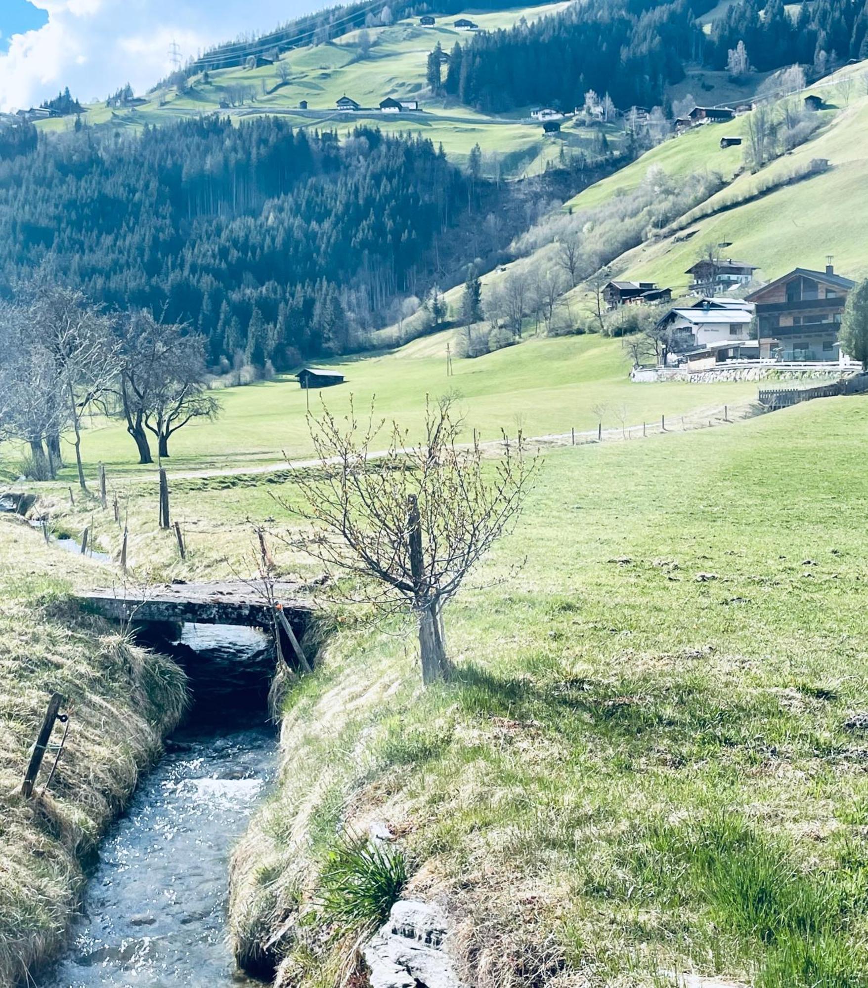 Apartment Weitblick Wald im Pinzgau Exterior photo